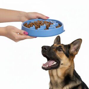 NWT Outward Hound Slo Bowl Blue LARGE Slow Feeder Anti Bloat Dog Bowl